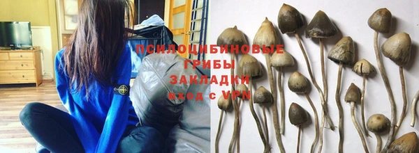 мескалин Балахна