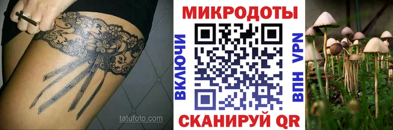 Псилоцибиновые грибы мицелий  хочу наркоту  kraken онион  Кубинка 